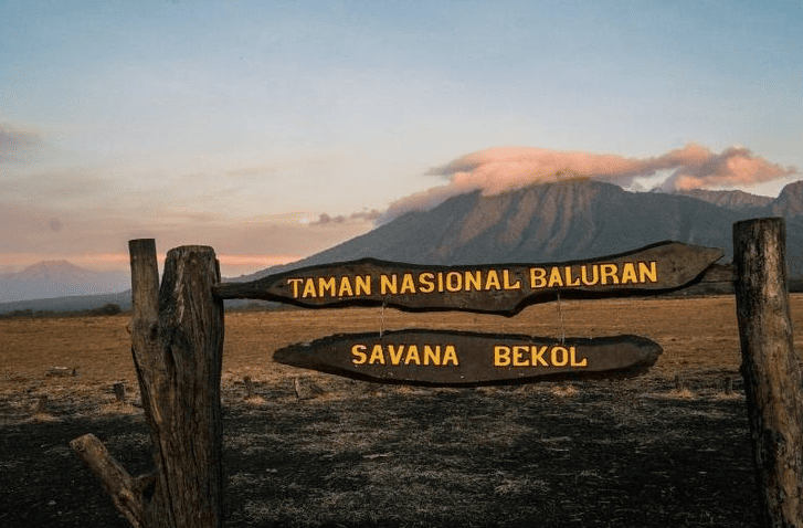 Taman Nasional Baluran Afrika van Java di Ujung Timur Jawa