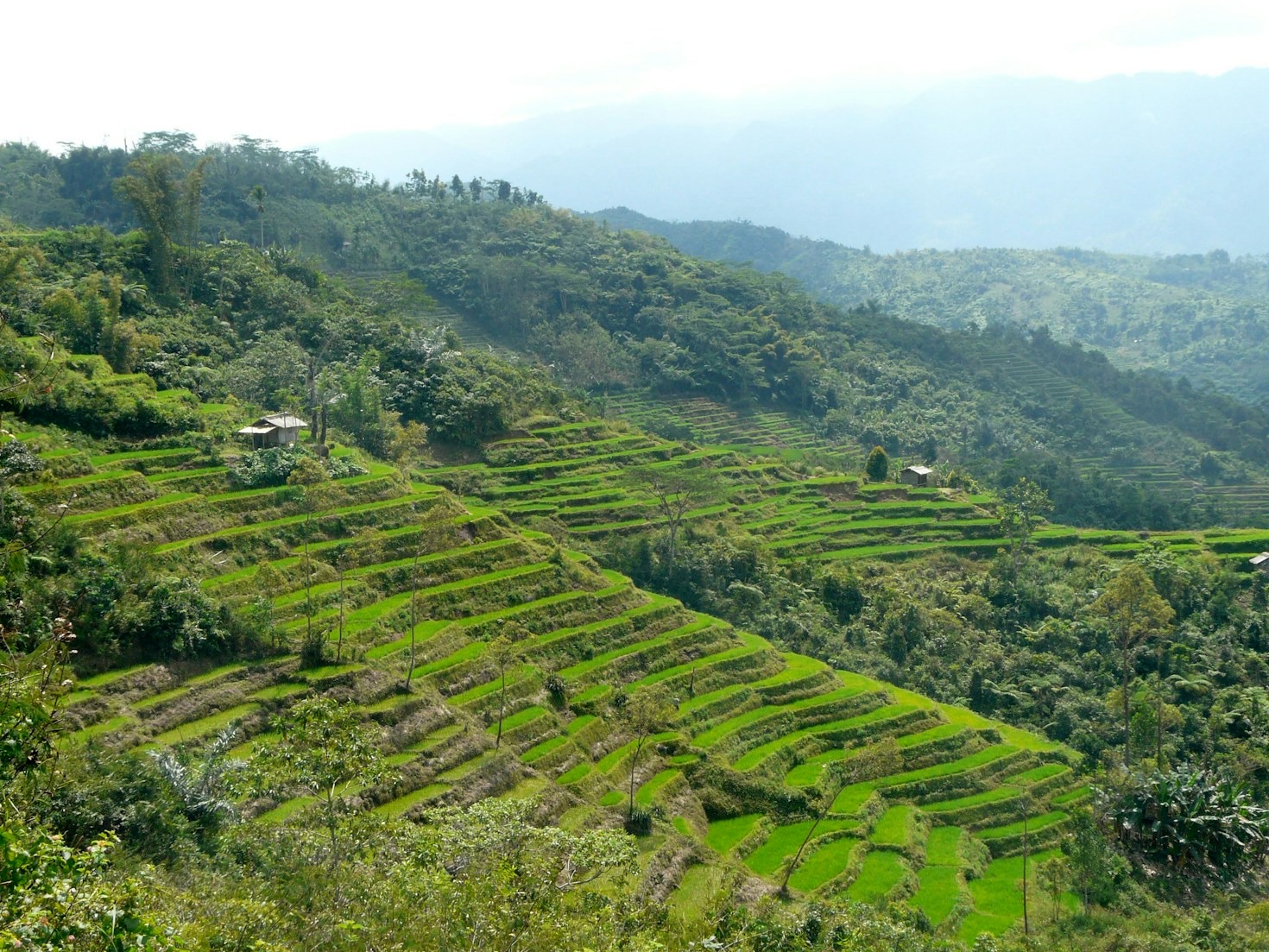 Top 10 Must-Visit Destinations in Indonesia