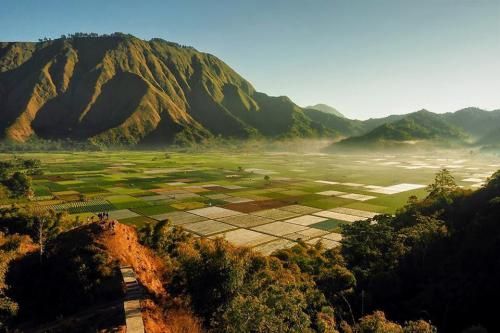 Sembalun Surga Tersembunyi di Kaki Gunung Rinjani