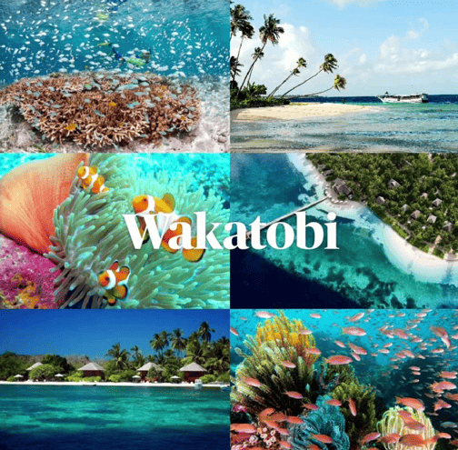 Wakatobi Surga Laut di Sulawesi Tenggara yang Mendunia
