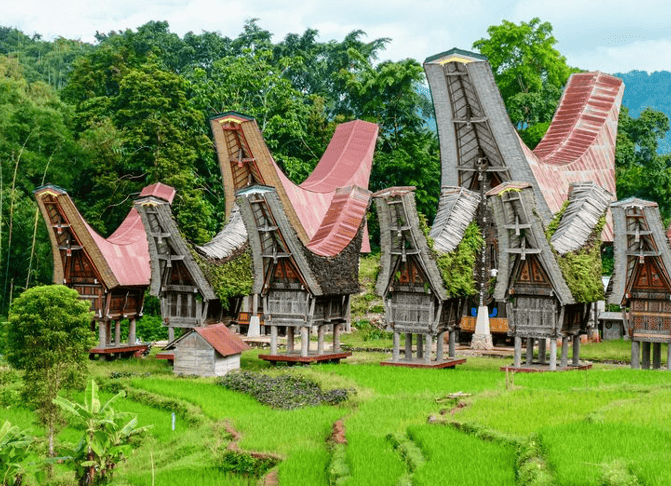 Tana Toraja Wisata Budaya dan Alam Eksotis di Sulawesi Selatan