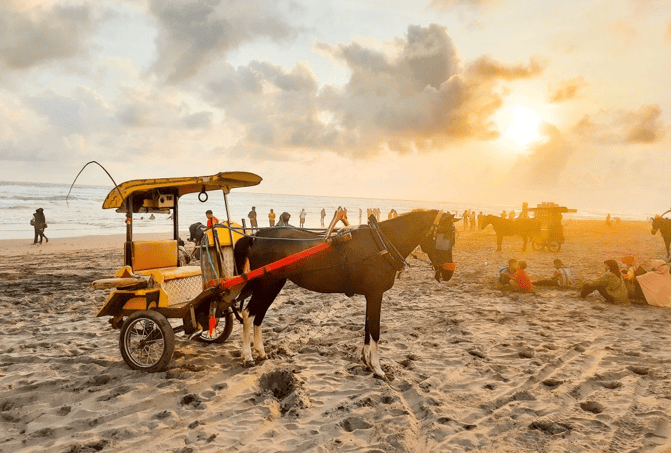Pantai Parangtritis Pesona Mistis dan Keindahan Alam Ikonik