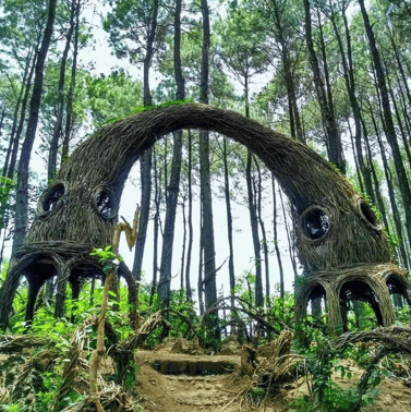 Hutan Pinus Mangunan Destinasi Traveling Alam Suasana Sejuk