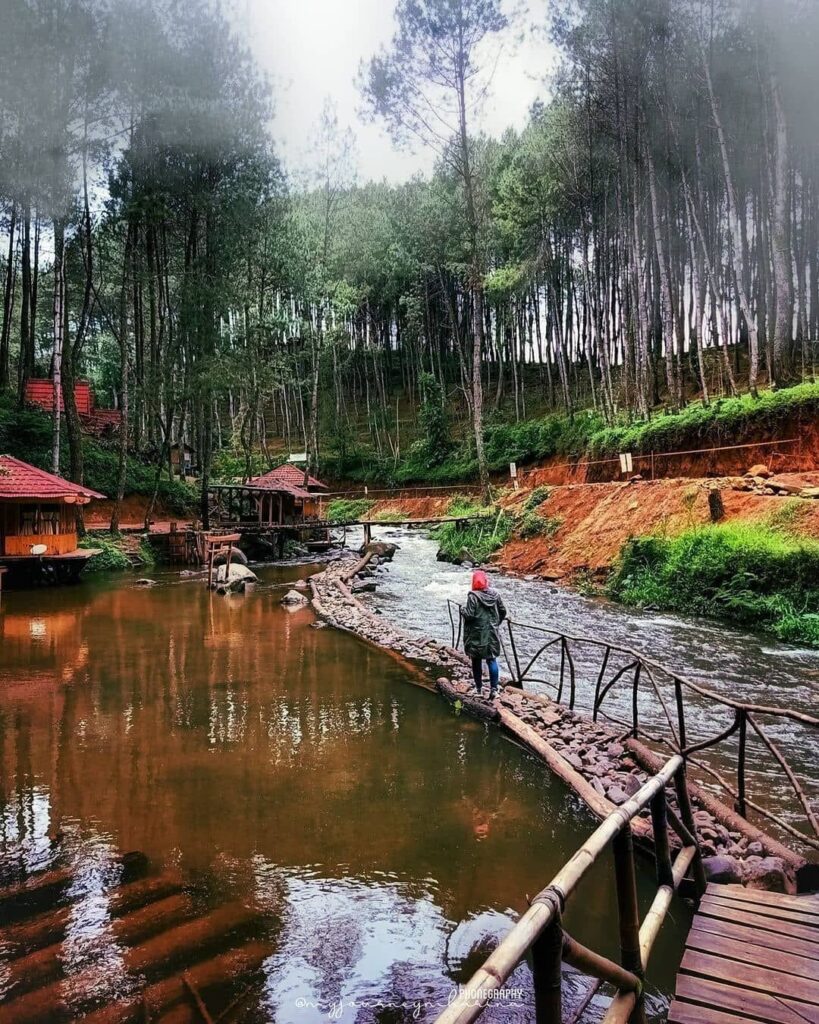 Lembah Kabut Senandika Destinasi Traveling Alam Nuansa Sunyi