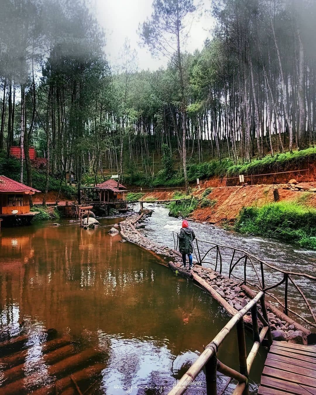 Lembah Kabut Senandika Destinasi Traveling Alam Nuansa Sunyi